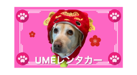 UMEレンタカー