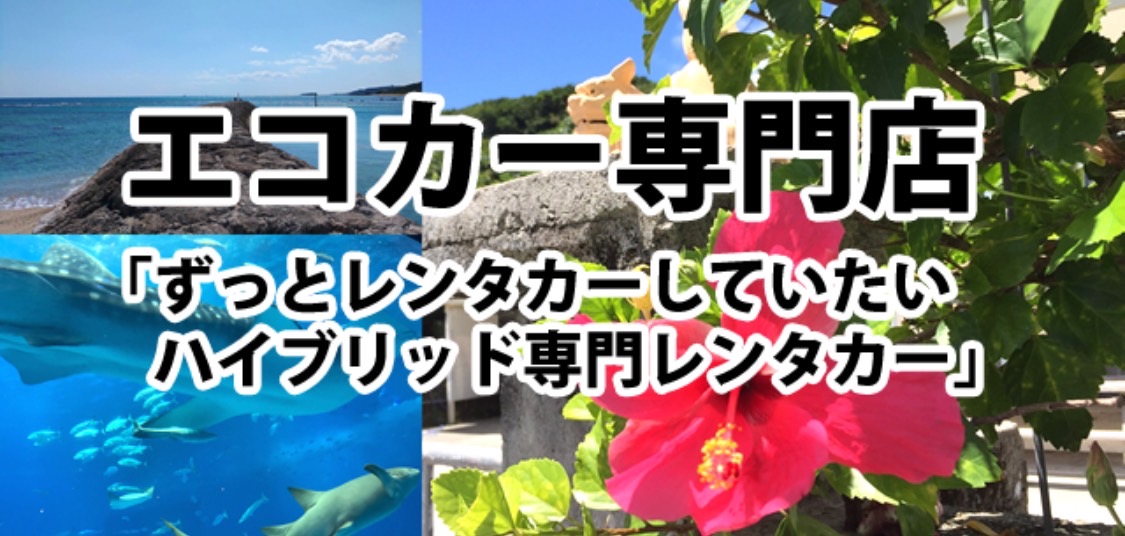 SURレンタカー