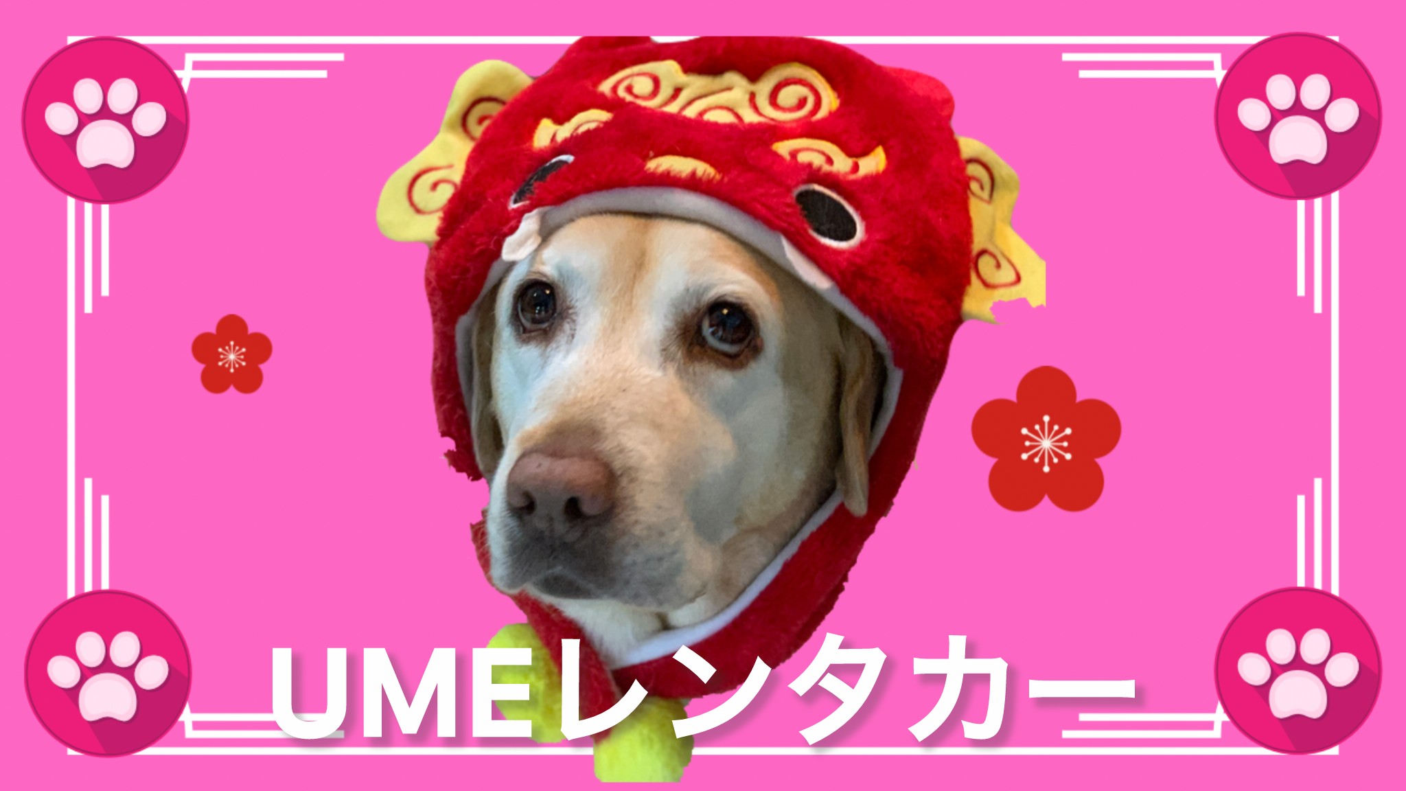 UMEレンタカー