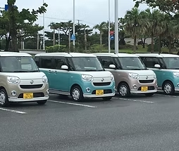 マングローブレンタカー（空港・店舗共通）