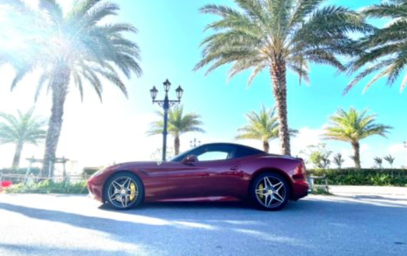 ダンデライオンレンタカー