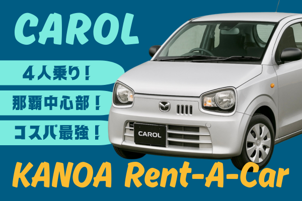 🌺【コスパ最強】ちょい乗りから連泊まで！Carol プラン🌺