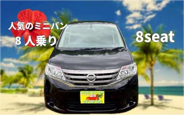 空港送迎付き！【家族・グループに！】8人乗りセレナで広々移動！ゆったり快適！