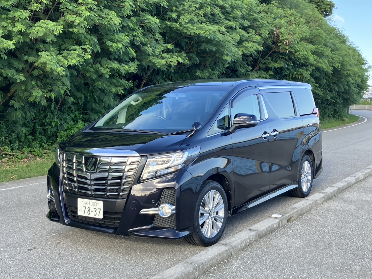 家族旅行に最適❗️ アルファード　８名乗り‼️  国際通り❗️