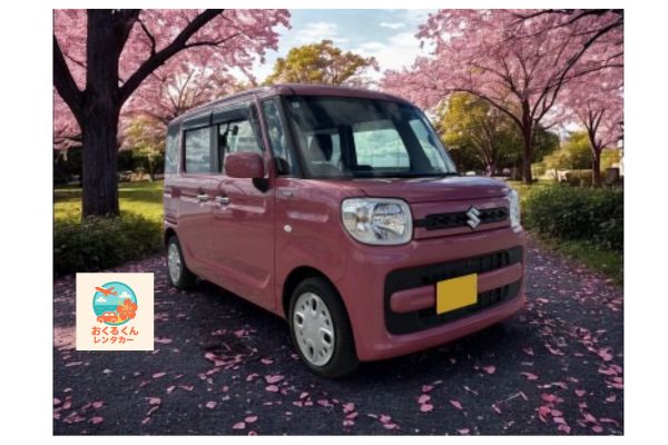 ペットと一緒OK車両で沖縄旅行❤スペーシア！ 空港送迎付き