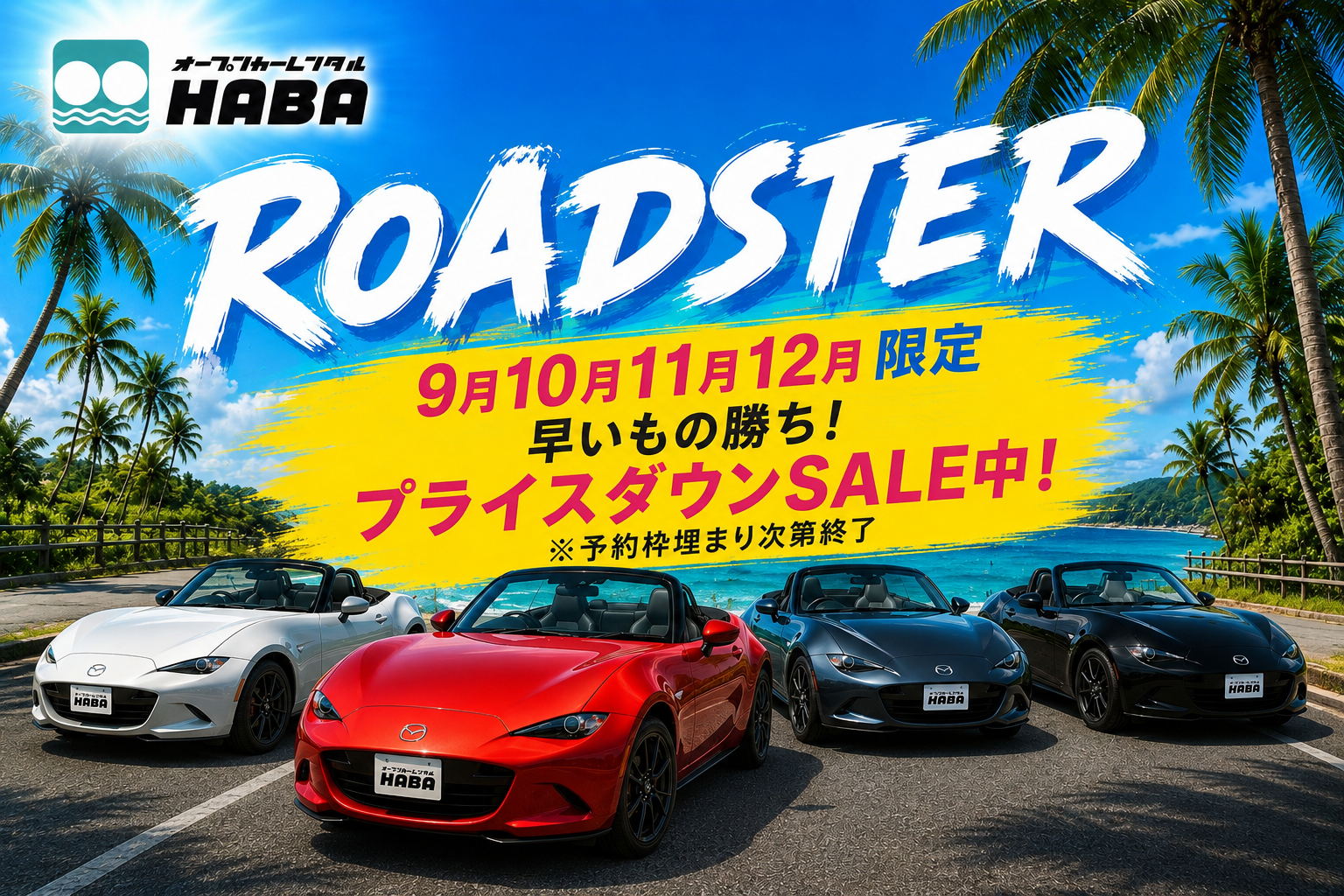 【早いもの勝ち】大人気！マツダNDロードスター/国産オープンカー【ご予約はお早めに】