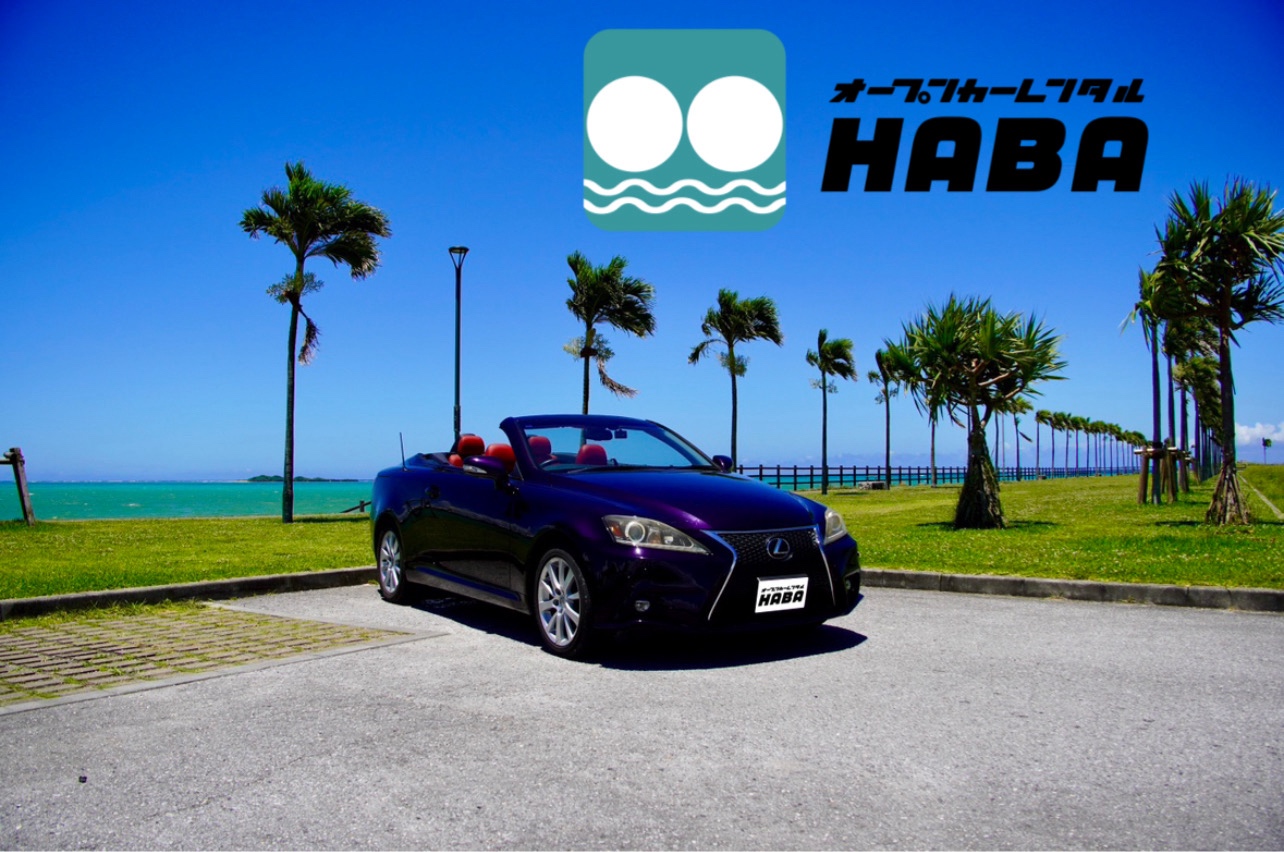 大人数で国産オープンカーに乗ろう！早めの予約がお得！レクサスIS【個別送迎・タクシー返金付】